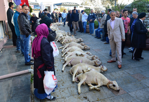 Foto - Aile adına tek bir kurban kesmek yeterli midir?
