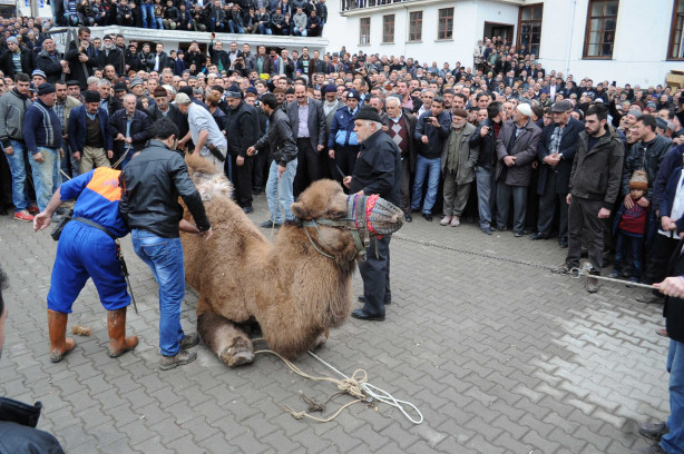 Foto - Aile adına tek bir kurban kesmek yeterli midir?