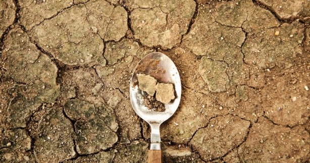 Foto - Aile başı 10 hektar, 150 bin aileye verilecek! Bedava toprak dağıtacaklar