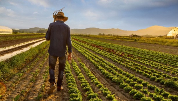 Foto - Aile başı 10 hektar, 150 bin aileye verilecek! Bedava toprak dağıtacaklar