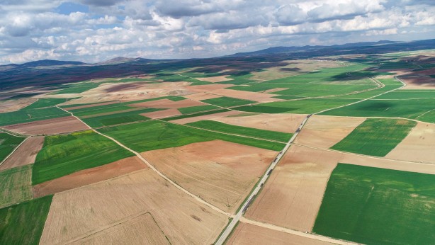 Aile başı 10 hektar, 150 bin aileye verilecek! Bedava toprak dağıtacaklar
