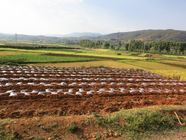 Foto - Aile başı 10 hektar, 150 bin aileye verilecek! Bedava toprak dağıtacaklar