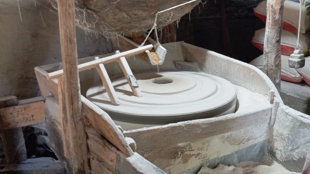 Foto - Ailesi için üretiyordu, şimdi siparişlere yetişemiyor! Ata tohumundan ürettiği buğdaya talep patlaması oldu