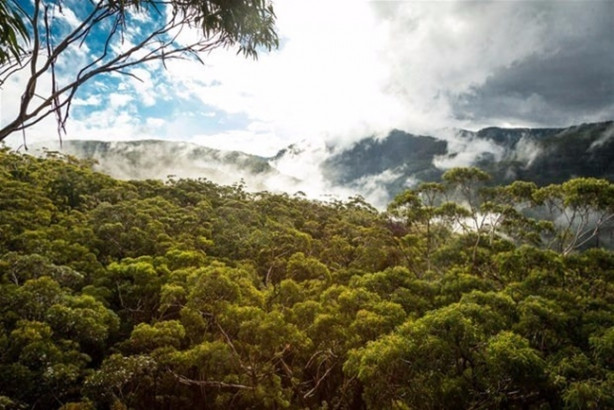 Foto - Ailesinden miras kalan arazide öyle bir şey buldu ki!