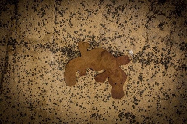 Foto - Ailesinden miras kalan arazide öyle bir şey buldu ki!