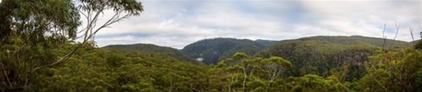 Foto - Ailesinden miras kalan arazide öyle bir şey buldu ki!