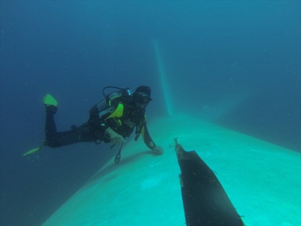 Foto - Airbus balıkların yuvası oldu
