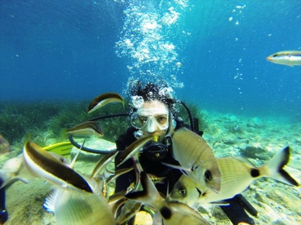 Foto - Airbus balıkların yuvası oldu