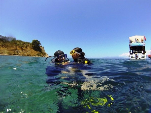 Foto - Airbus balıkların yuvası oldu