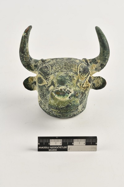 Foto - Ait oldukları topraklara döndüler