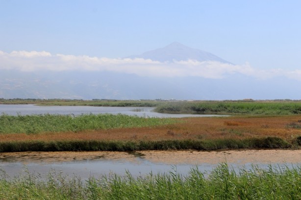 Foto - AK Parti Hatay Milletvekili duyurdu: En kısa zamanda ilan edilecek