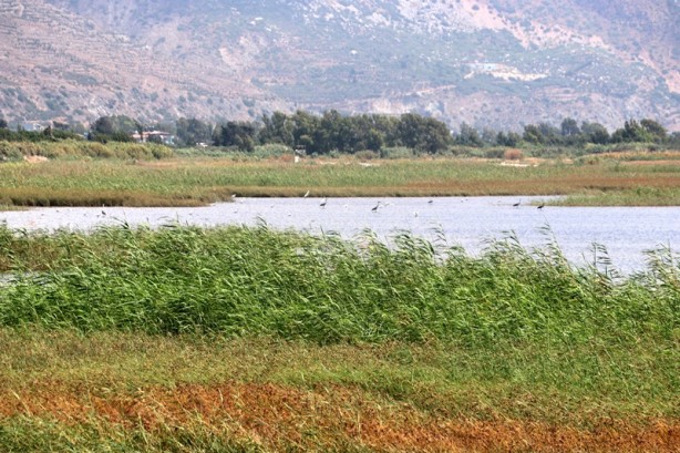 Foto - AK Parti Hatay Milletvekili duyurdu: En kısa zamanda ilan edilecek