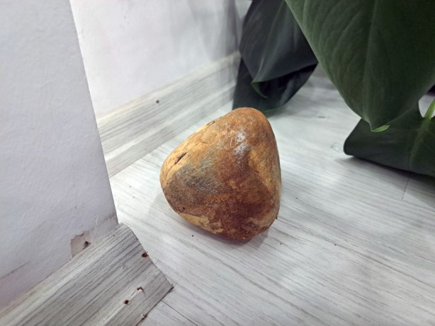 Foto - AK Parti Muğla il binasına taşlı saldırı