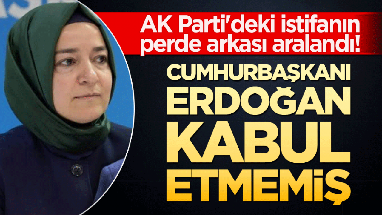 AK Parti'deki istifanın perde arkası aralandı! Cumhurbaşkanı Erdoğan kabul etmemiş