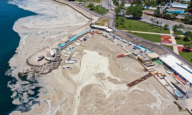 Foto - AK Parti’den CHP’ye geçmişti! Marmara’daki müsilajın kaynağı Nilüfer çayı zehir saçıyor BUSKİ’ye 3.5 milyon ceza