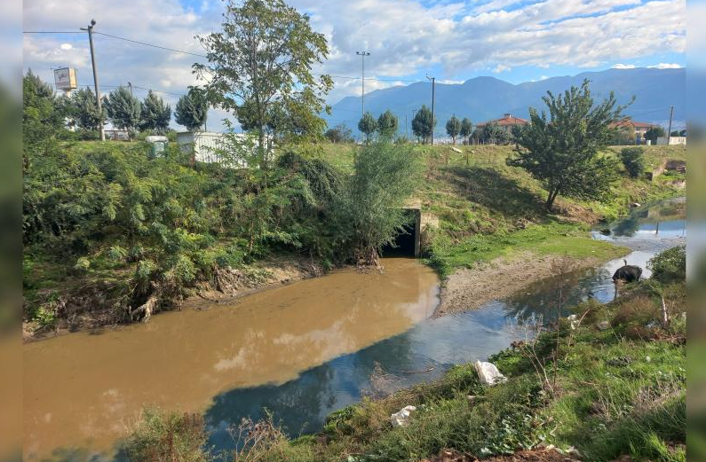 Foto - AK Parti’den CHP’ye geçmişti! Marmara’daki müsilajın kaynağı Nilüfer çayı zehir saçıyor BUSKİ’ye 3.5 milyon ceza