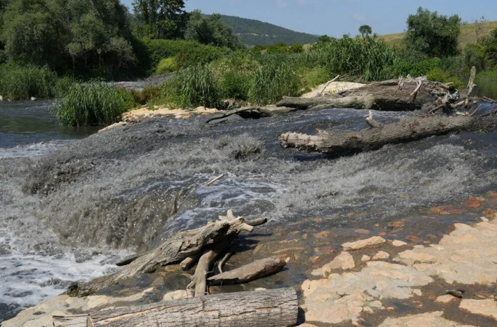 Foto - AK Parti’den CHP’ye geçmişti! Marmara’daki müsilajın kaynağı Nilüfer çayı zehir saçıyor BUSKİ’ye 3.5 milyon ceza