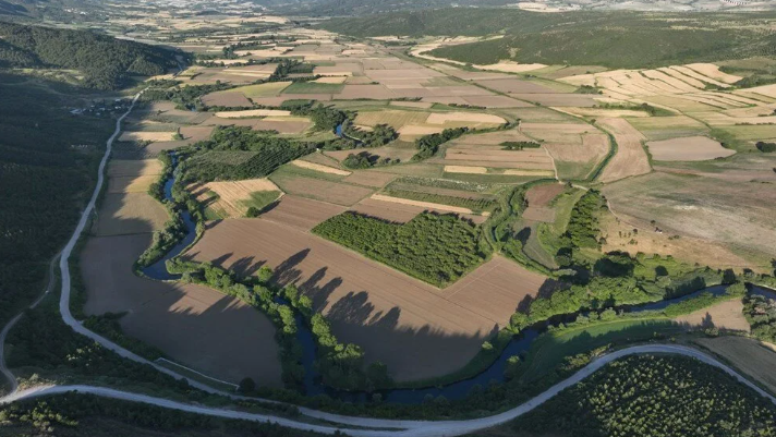 Foto - AK Parti’den CHP’ye geçmişti! Marmara’daki müsilajın kaynağı Nilüfer çayı zehir saçıyor BUSKİ’ye 3.5 milyon ceza