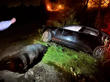 Foto - AK Partili Bahadır Yenişehirlioğlu trafik kazası geçirdi