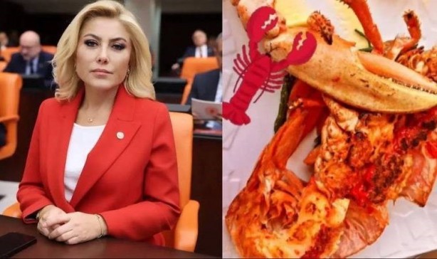 Foto - AK Partili Şebnem Bursalı’nın paylaşımı maşeri vicdanı yaralamıştı! Erdoğan’dan flaş "ıstakoz" hamlesi