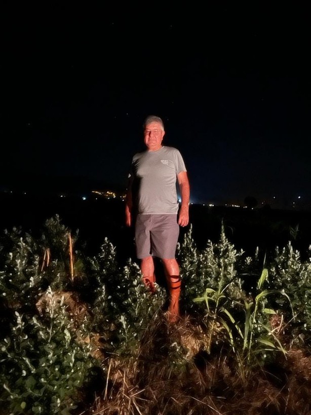 Foto - AK Partili vekil çiftçiliğe başladı