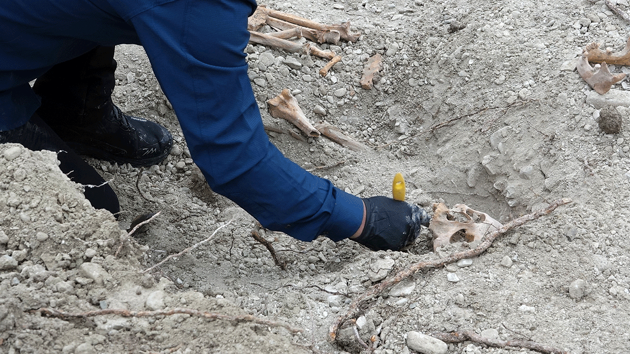 Foto - Akademisyenleri kanalizasyona indiren olay