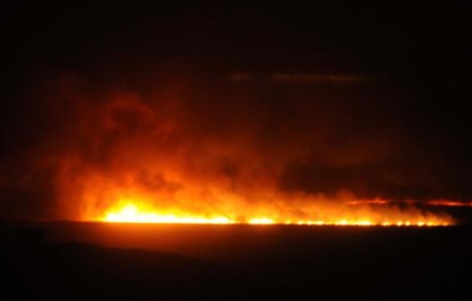 Akçakale'de anız yangını böyle görüntülendi