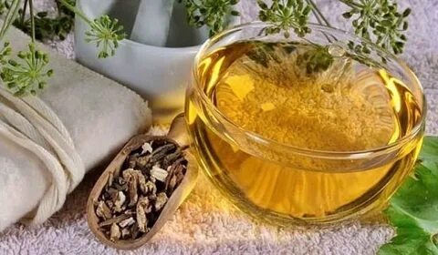 Foto - Akciğerde biriken balgamı kökünden kazıyor! İki kaşıkta etkisini gösteriyor