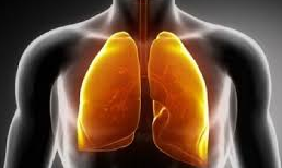 Akciğerdeki katranı ve nikotini arındıran efsane karışım: Günde 1 bardak her gün içerseniz! Kökünden kurutuyor