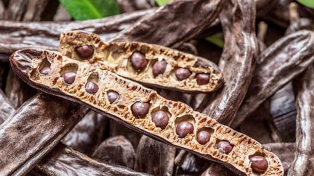 Foto - Akciğerdeki zehri 3 günde arınıyor! Solunum yollarını vakum gibi açıyor: İltihabın kökünü kurutuyor