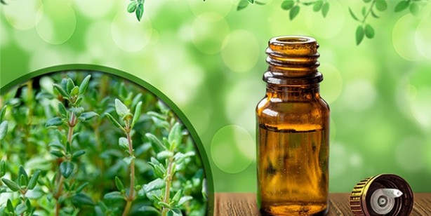 Foto - Akciğerleri temizleyen besinler! Akciğerleri yeniden doğmuş gibi yapıyor ve zatürreden kurtarıyor