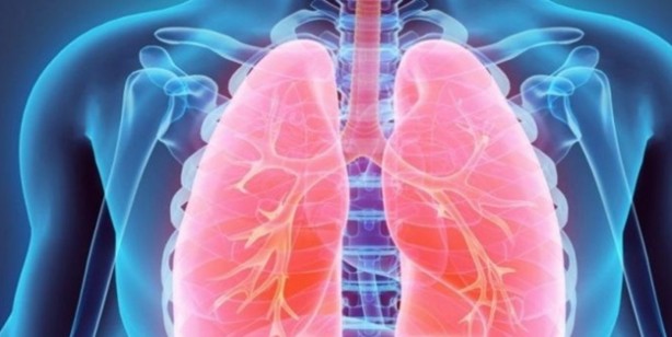 Foto - Akciğerleri temizleyen besinler! Akciğerleri yeniden doğmuş gibi yapıyor ve zatürreden kurtarıyor