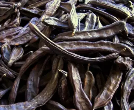 Foto - Akciğerleri yenileyen 6 mucize besin: Kış için olmazsa olmaz! Duyan şaştı kaldı!