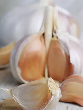 Foto - Akciğerleri yenileyen 6 mucize besin: Kış için olmazsa olmaz! Duyan şaştı kaldı!