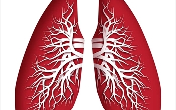 Akciğerleri yenileyen 7 muhteşem besin ne? İnsanın uzun yaşam sırrı... Şaşkına çeviren 'enteresan' detaylar