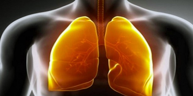 Akciğerlerinizi sıfırlayın: Muhteşem, birebir tutan karışım bakın ne! Uzmanlar tarafından açıklandı: Tertemiz yapıyor