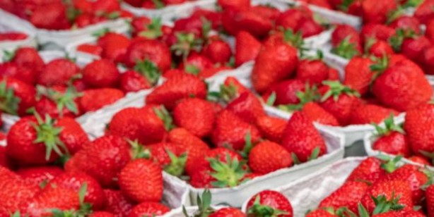 Foto - Akciğerlerinizi sıfırlayın: Muhteşem, birebir tutan karışım bakın ne! Uzmanlar tarafından açıklandı: Tertemiz yapıyor