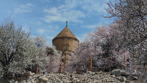 Foto - Akdamar Adası baharın renklerine büründü