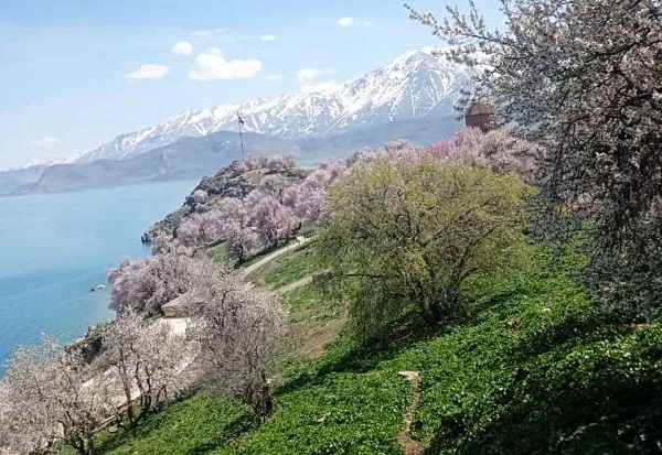 Foto - Akdamar Adası’na bahar geldi