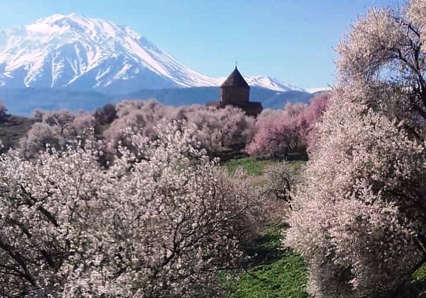 Akdamar Adası’na bahar geldi