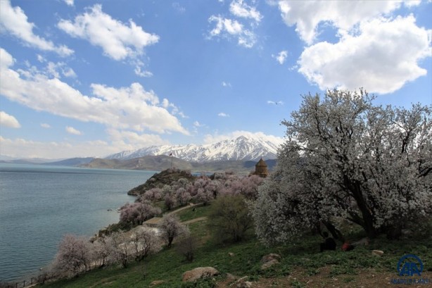 Foto - Akdamar Adası'na ziyaretçi akını