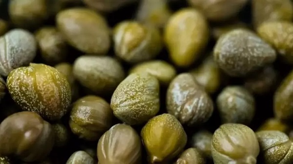 Foto - Akdeniz mutfağının olmazsa olmazı! Bu bitki her derde deva