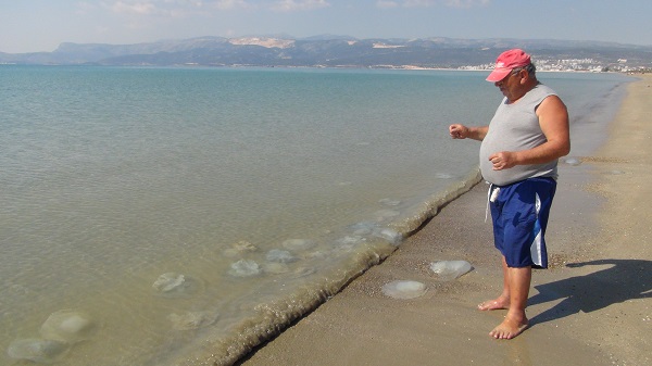 Foto - Akdeniz sahillerini istila ettiler