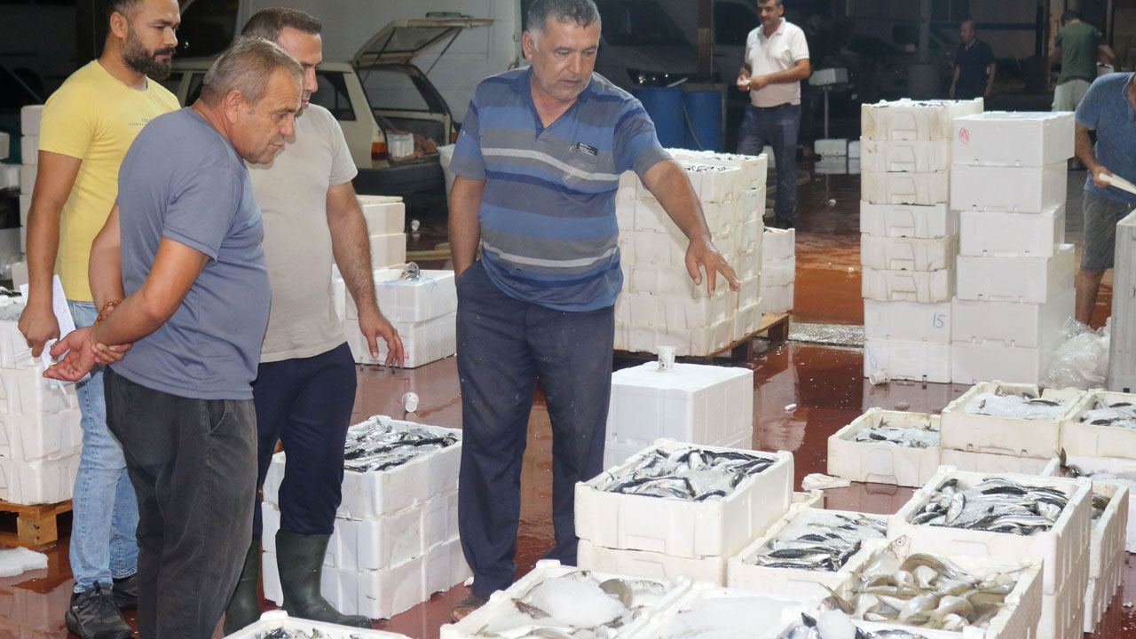 Foto - Akdeniz'de bolluk! Kasalar dolusu balık yarı fiyatına satılıyor