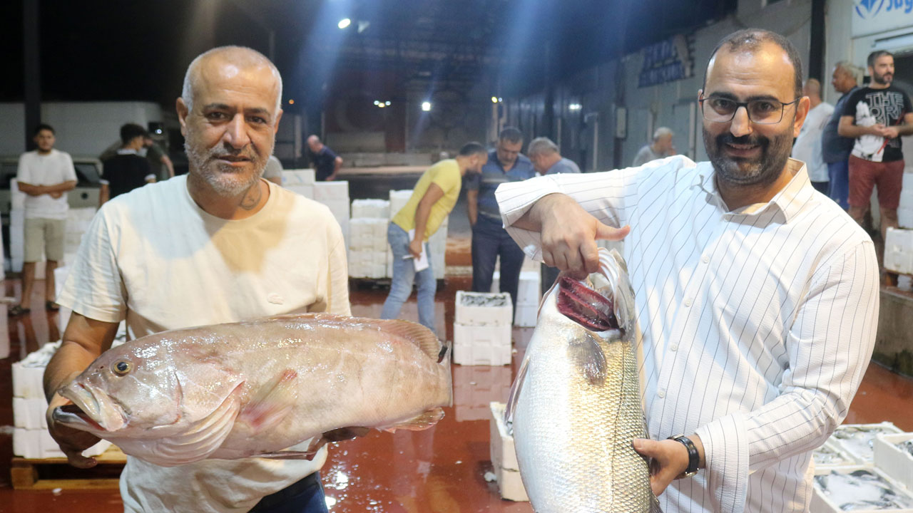 Foto - Akdeniz'de bolluk! Kasalar dolusu balık yarı fiyatına satılıyor