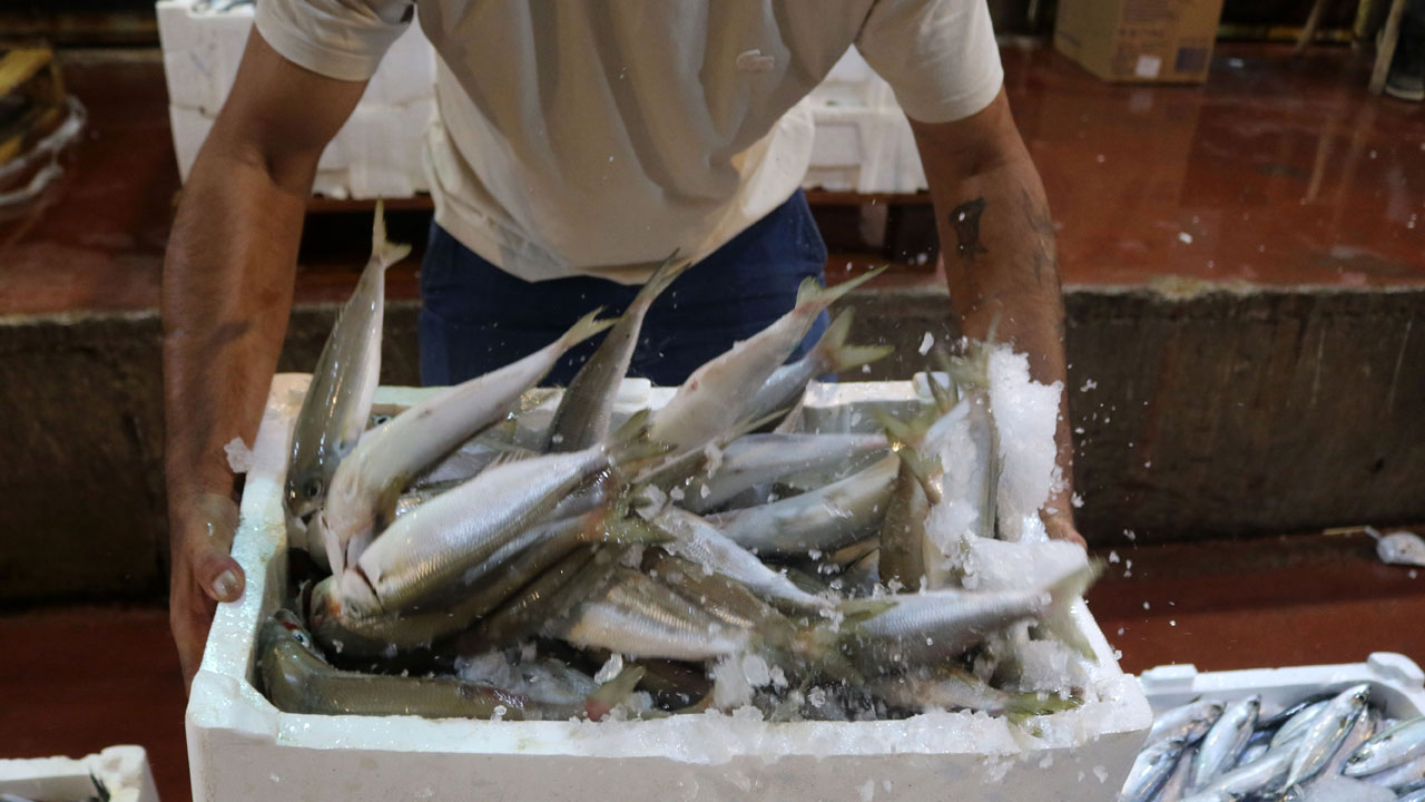 Foto - Akdeniz'de bolluk! Kasalar dolusu balık yarı fiyatına satılıyor