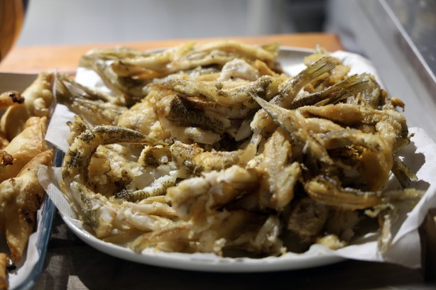 Foto - Akdeniz'de görülmeye başladılar! Türkiye'nin başına talih kuşu kondu 