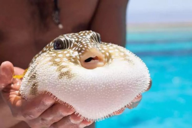 Foto - Akdeniz'de korkunç durum! Çanakkale Boğazı'na dayandı!