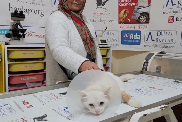 Foto - Akılalmaz olay! Büyü için kedinin patisini kesmişler