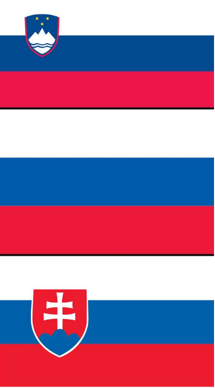 Foto - Akılda tutulması en zor ülke bayrakları